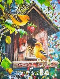 Home Tweet Home (500Pc) 1