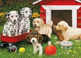 Puppy Party (60Pc) 1