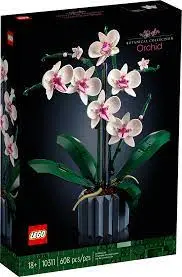 Botanical Collection: Orchid 1
