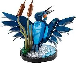 Icons: Kingfisher 1