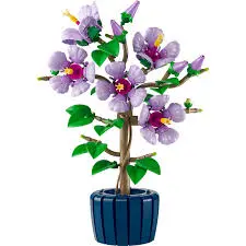 Botanical Collection: Hibiscus 1