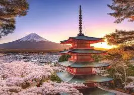 Mount Fuji Cherry Blossom View (1000Pc) 1