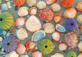 By The Seashore (300Pc) 1