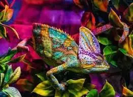Chameleon (500Pc) 1