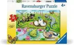 Hello Hatchlings (60Pc) 1