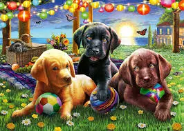 Puppy Picnic (100Xxl Pc) 1