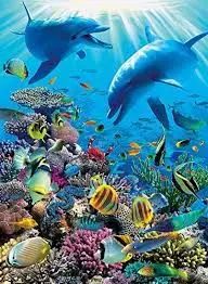 Underwater Adventure (300Xxl Pc) 1