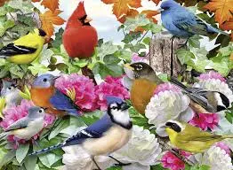Garden Birds (500Pc) 1