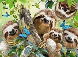 Sloth Selfie (500Pc) 1