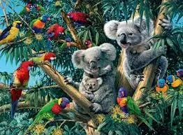 Koalas In A Tree (500Pc) 1