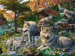 Wolves In Spring (1500Pc) 1