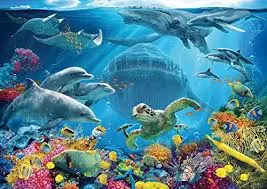 Life Underwater (300Pc) 1