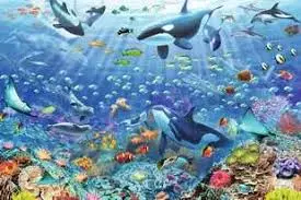 Colorful Underwater World (3000Pc) 1