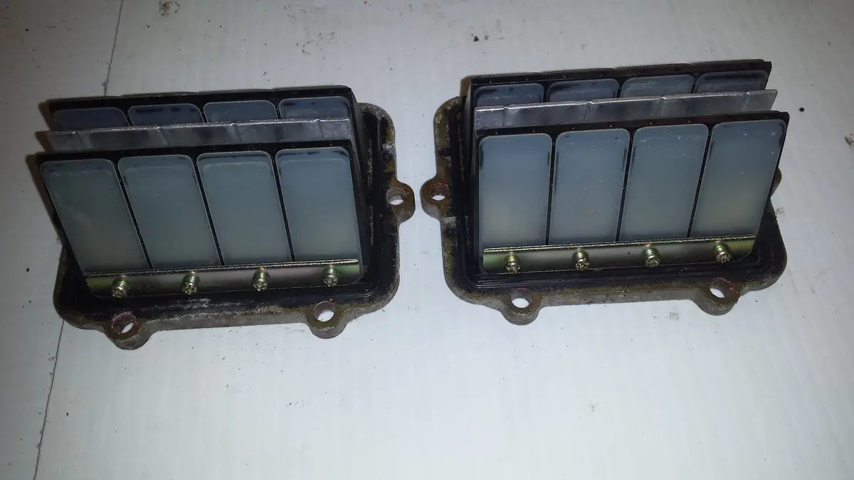 2006 Fusion Dragon Reed Valves 1