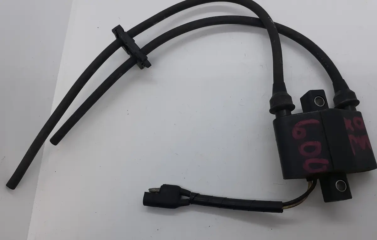 Polaris Snowmobile Ignition Coil 1
