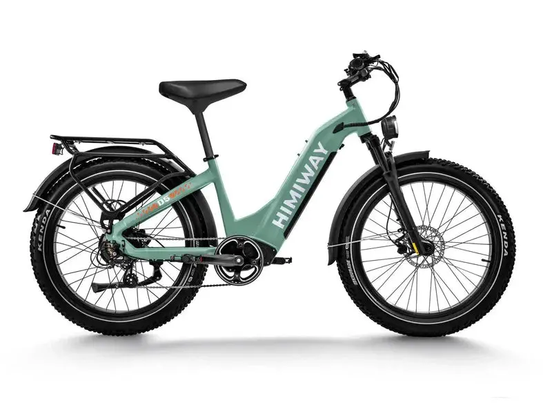 D5 St(Zebra St) / Premium All-Terrain Electric Fat Bike 1
