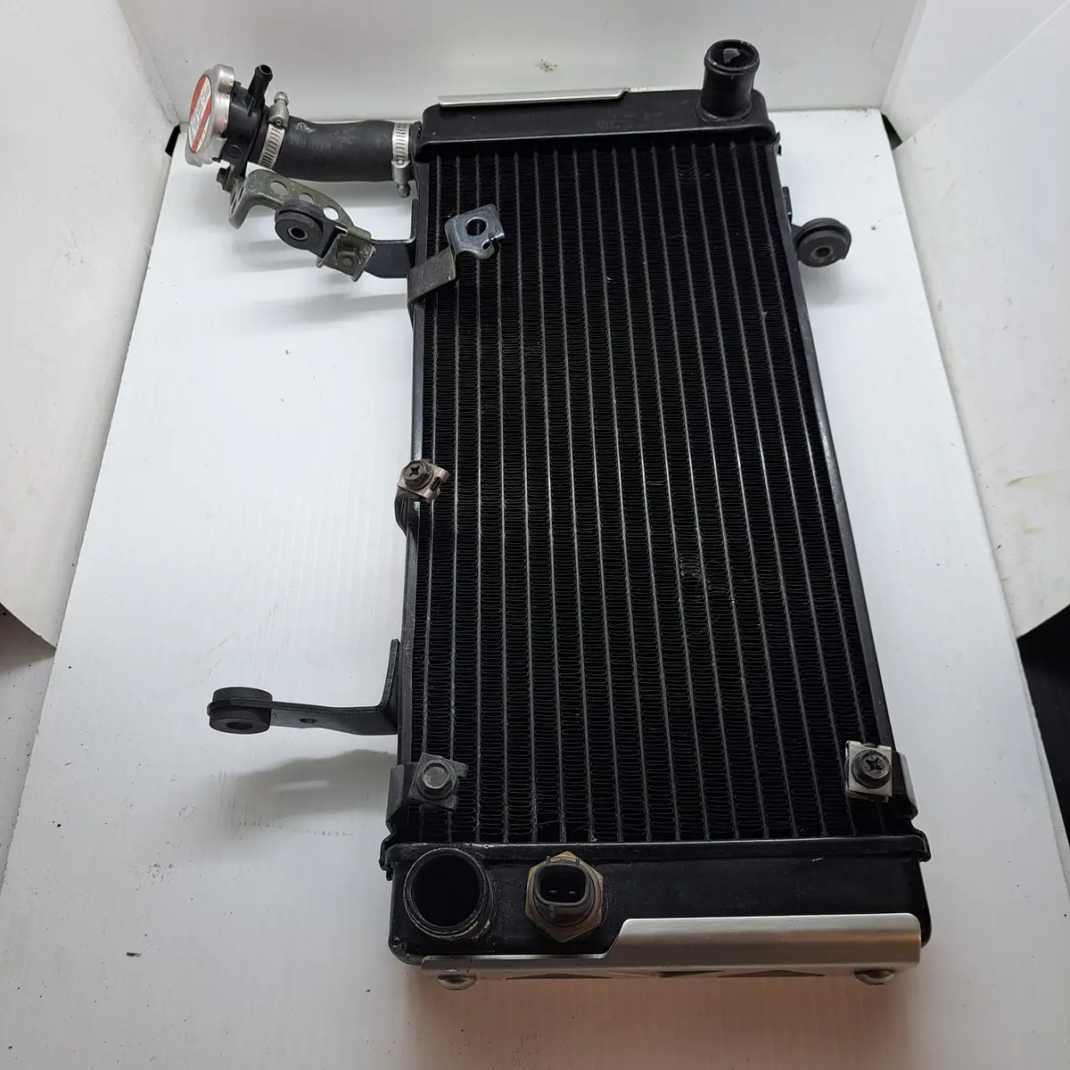 Sv1000 Radiator 1