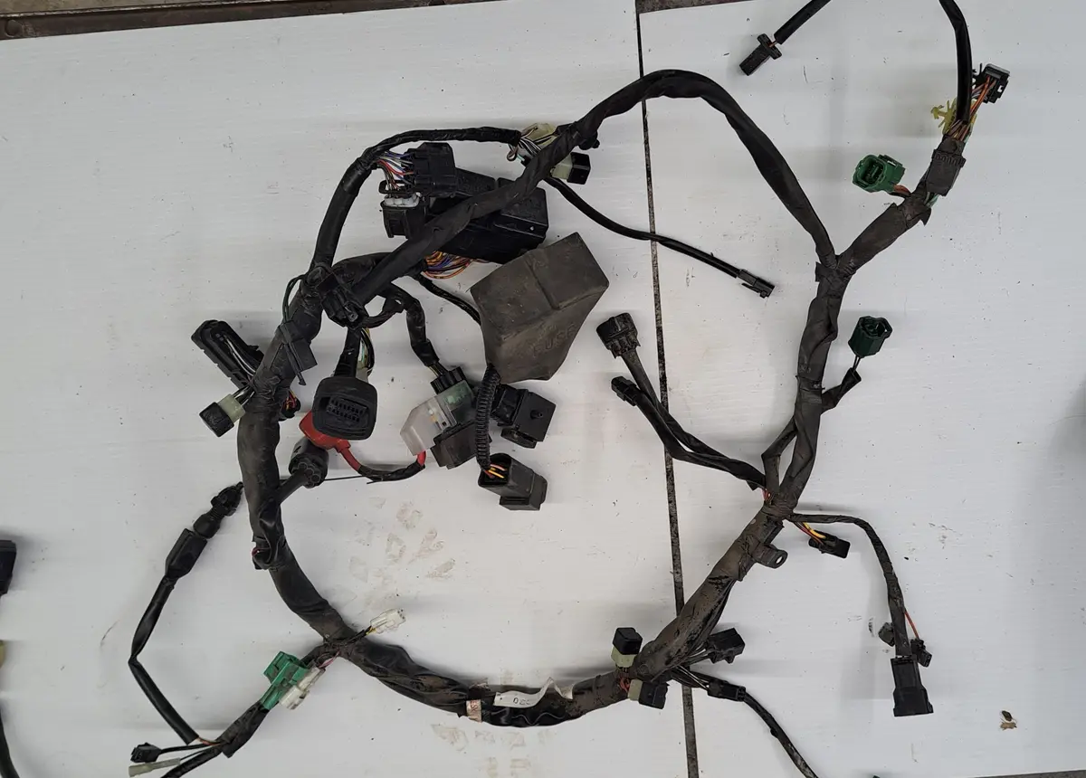 Sv1000s Wiring Harness 1