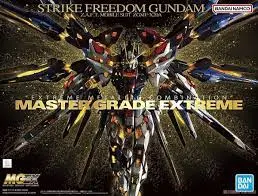1:100 Strike Freedom Gundam (Mg Extreme) 1