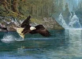 Fly Fishing (1000Pc) 1