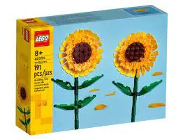 Flowers: Sunflowers 1