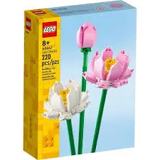 Flowers: Lotus Flowers 1
