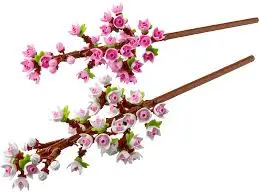 Flowers: Cherry Blossoms 1