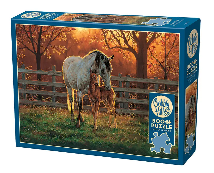 Quiet Time 500-Piece Puzzle 1