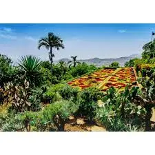 Botanical Garden, Madeira (1000Pc) 1