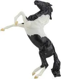 Black Pinto Rearing Mustang 1