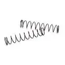 Rear Shock Springs (2): Circuit 1