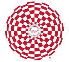 24 Inch Parachute 1