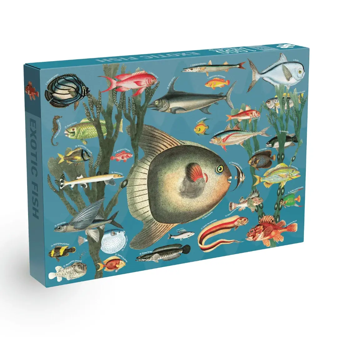 Exotic Fish 1000-Piece Puzzle 1