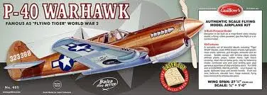 Curtiss P-40 Warhawk 1