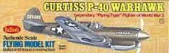 Curtiss P-40 Warhawk 1