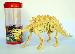 Stegosaurus Skeleton 1