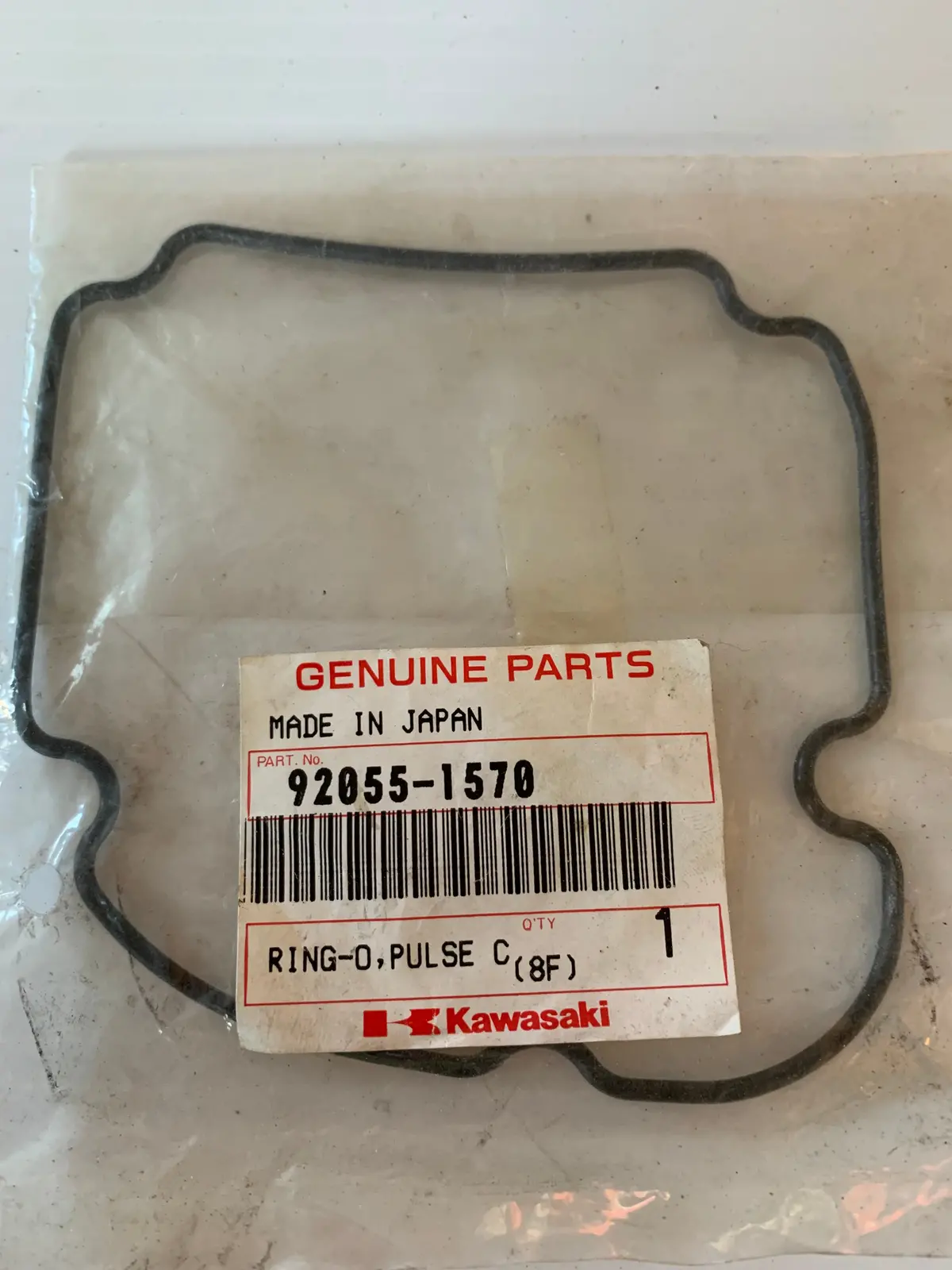 Kawasaki Pulse Cover O-Ring 1
