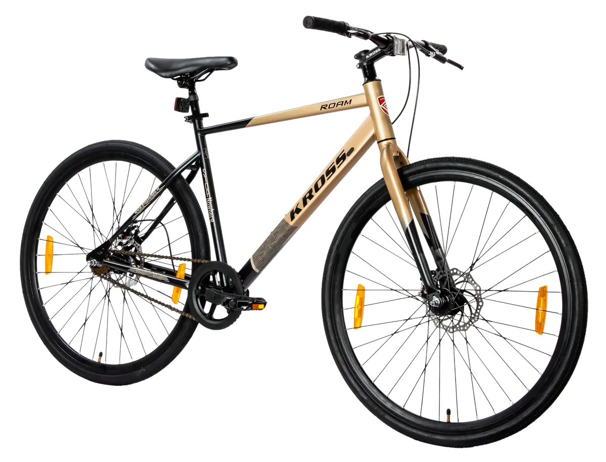 Roam 700C Ss Dd Hybrid Bicycle – Single Speed, 19.5" Steel Frame, Mechanical Disc Brakes & Alloy Double Wall Rims 1