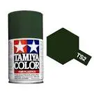 Lacquer: Dark Green (Spray) 1