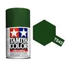 Lacquer: Racing Green (Spray) 1
