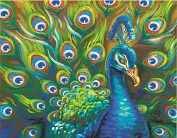 Wild Feathers (11In X 14In) 1