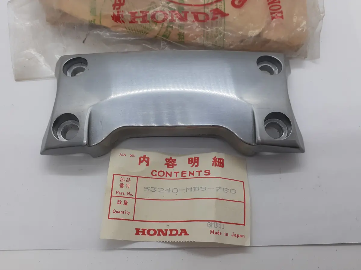 Goldwing Fork Stabilizer 1