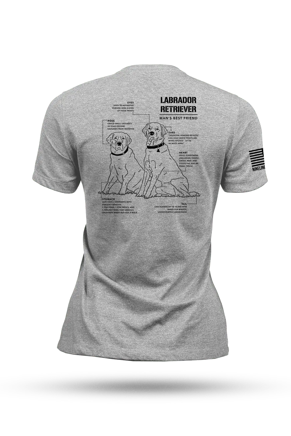 Labrador Schematic - Women's T-Shirt 1