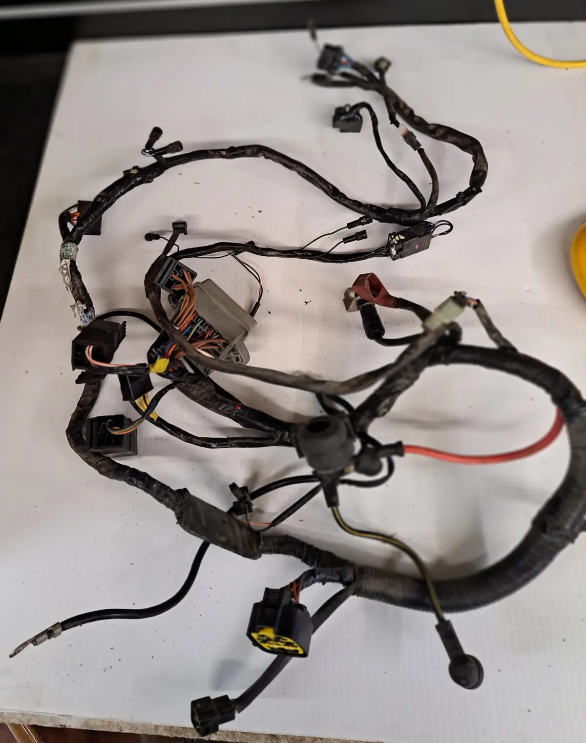 Triumph Tt600 Wiring Harnesses 1