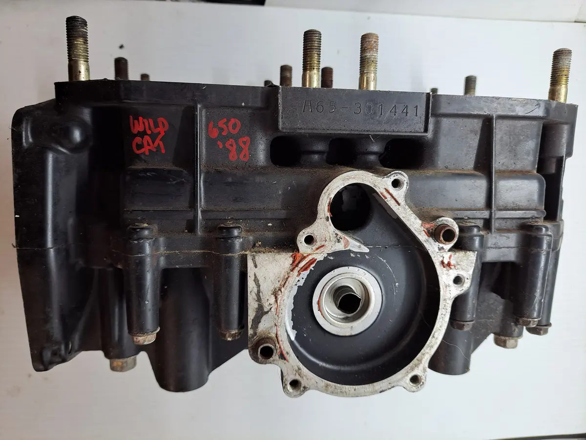 Wildcat 650 Crankcase Assembly 1