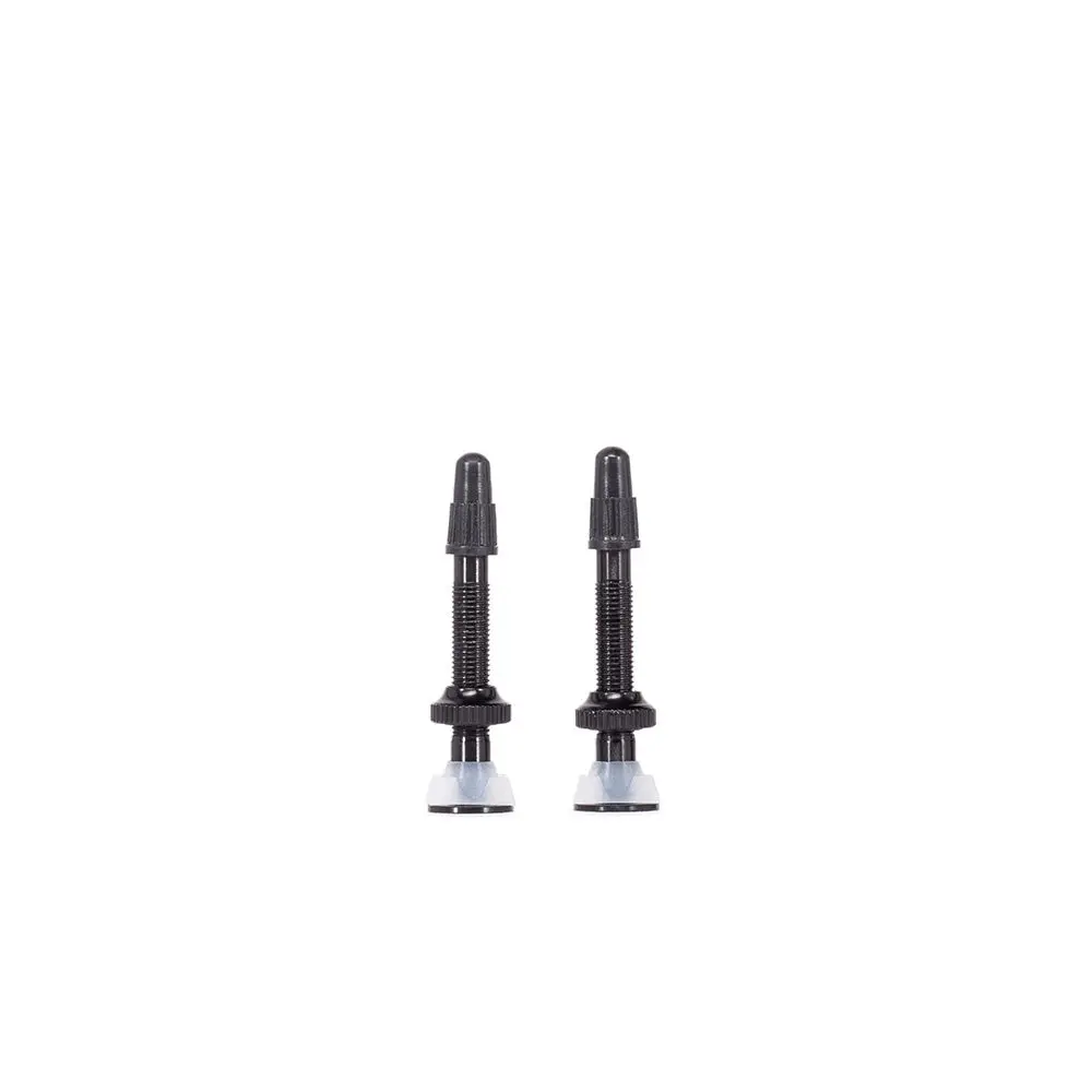Arise Argon Tubless Valve 1